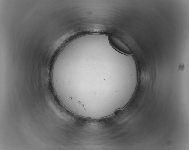 X0000113960540200910232031