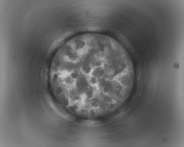 X0000113960542200910232031