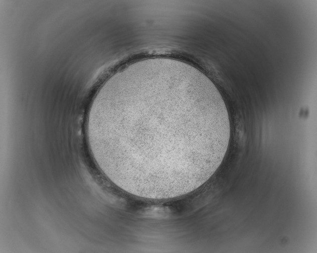 X0000113960543200910232031
