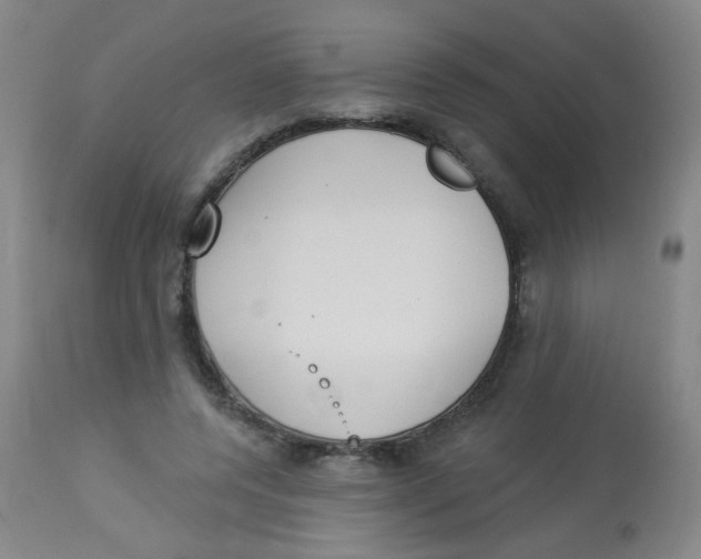 X0000113960544200910232031