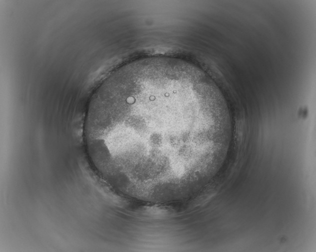 X0000113960545200910232031