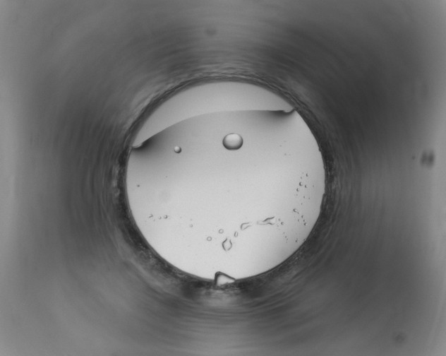 X0000113960548200910232031