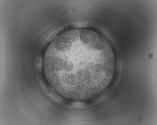 X0000113960549200910232031