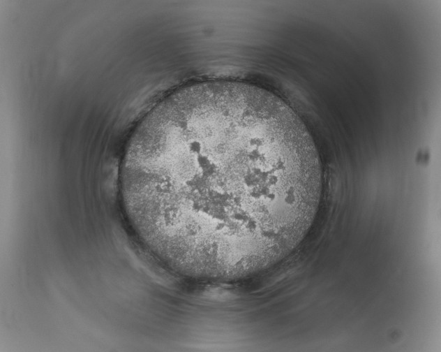 X0000113960550200910232031