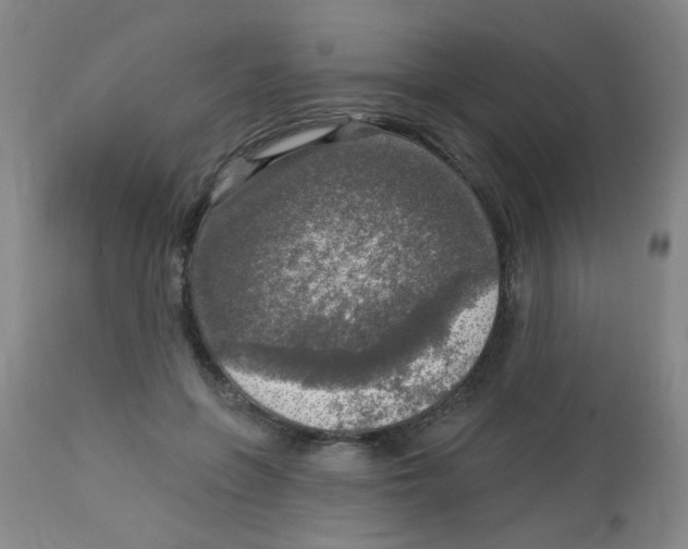 X0000113960551200910232031