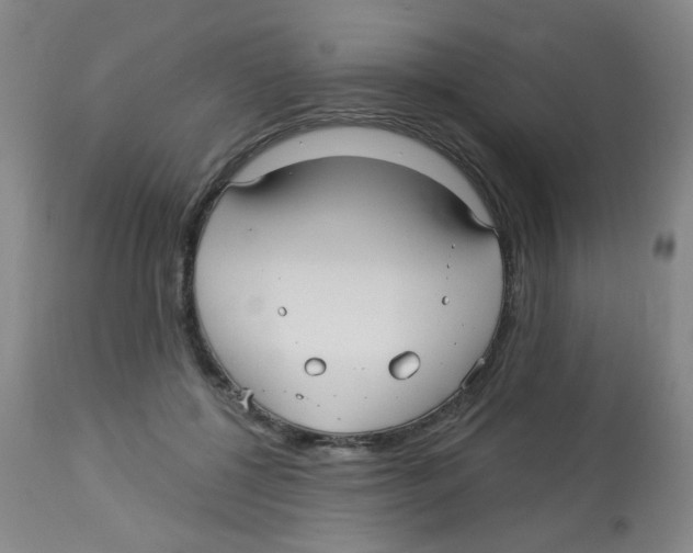 X0000113960552200910232031