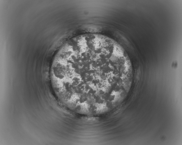 X0000113960553200910232031