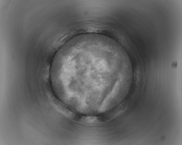 X0000113960554200910232031