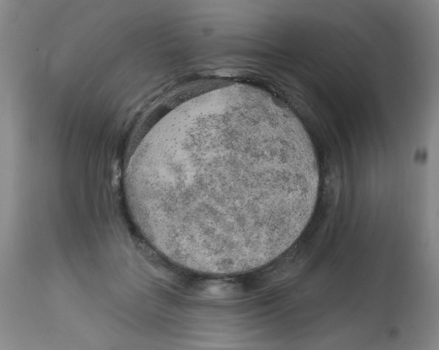 X0000113960555200910232031