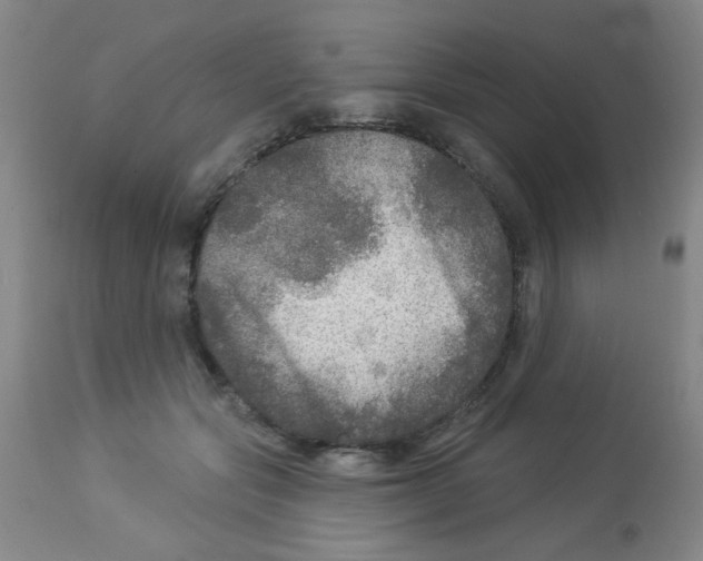 X0000113960557200910232031