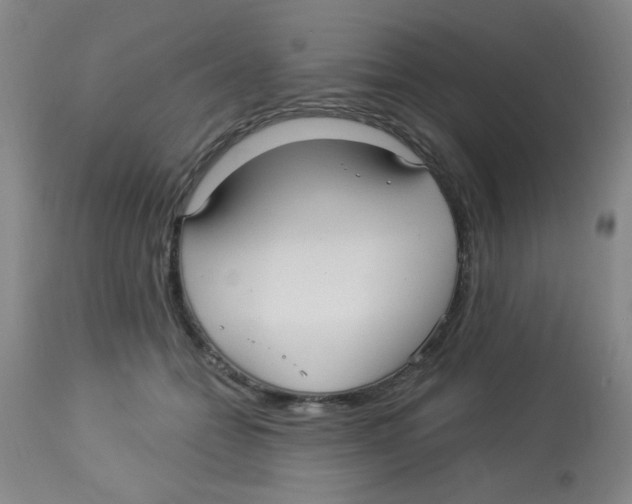 X0000113960558200910232031