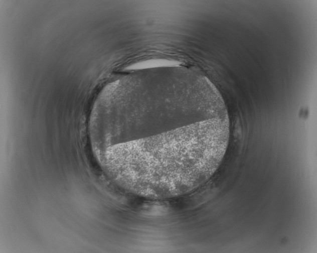 X0000113960559200910232031