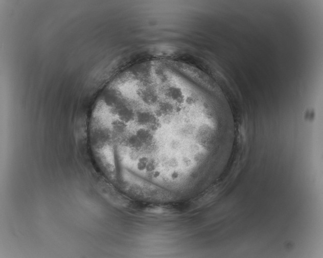 X0000113960561200910232031