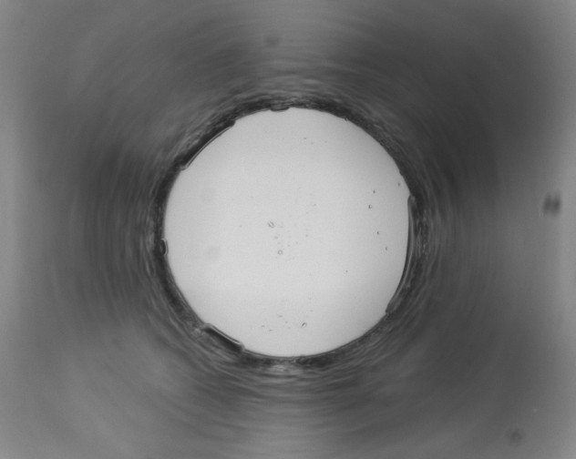 X0000113960562200910232031