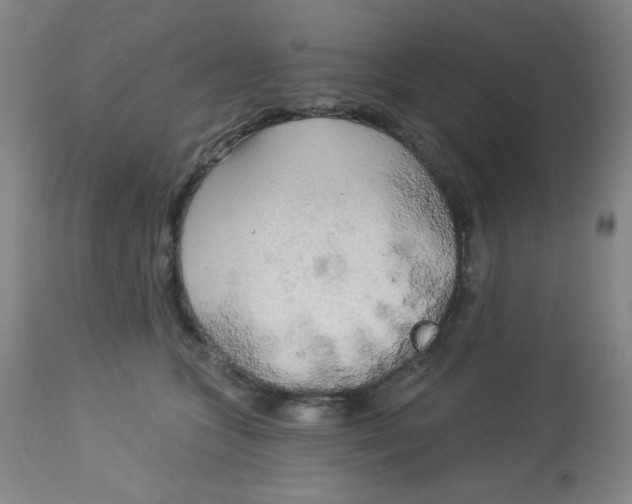 X0000113960563200910232031