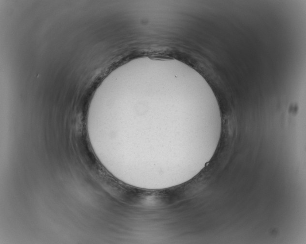 X0000113960564200910232031