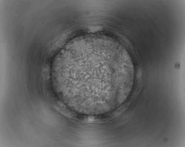 X0000113960565200910232031