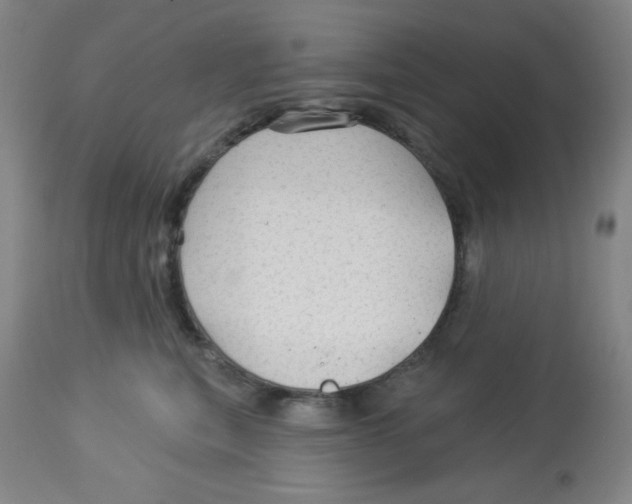 X0000113960567200910232031