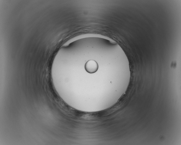 X0000113960568200910232031