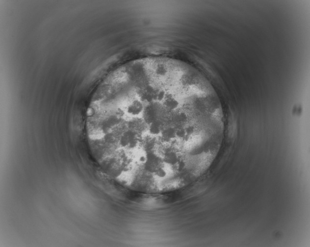 X0000113960569200910232031