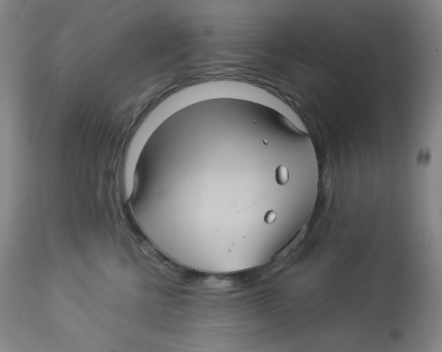 X0000113960570200910232031