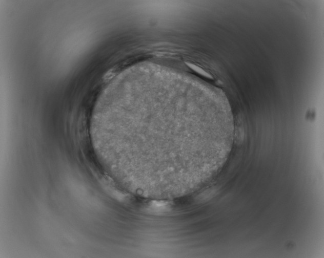 X0000113960573200910232031