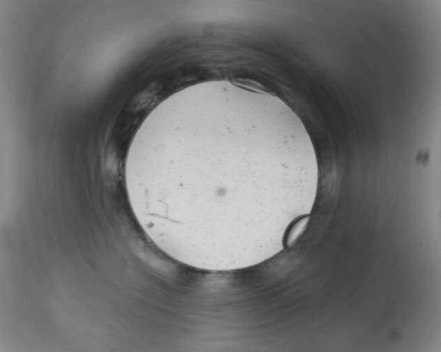 X0000113960574200910232031