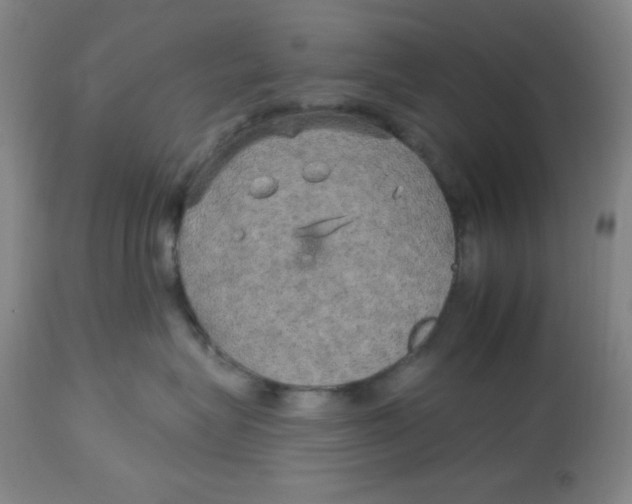 X0000113960575200910232031