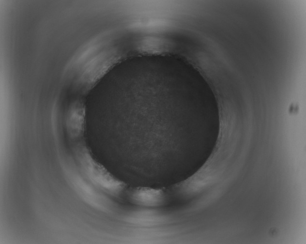 X0000113960576200910232031