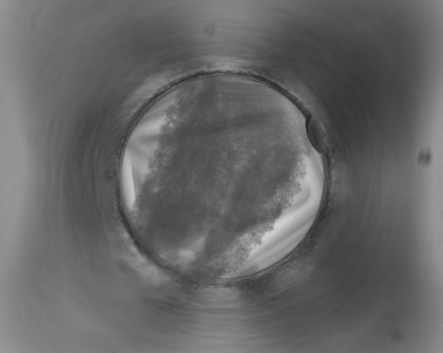 X0000113960577200910232030