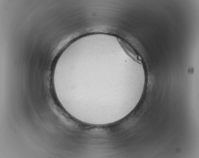 X0000113960578200910232030