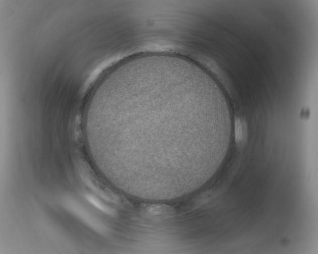 X0000113960579200910232030