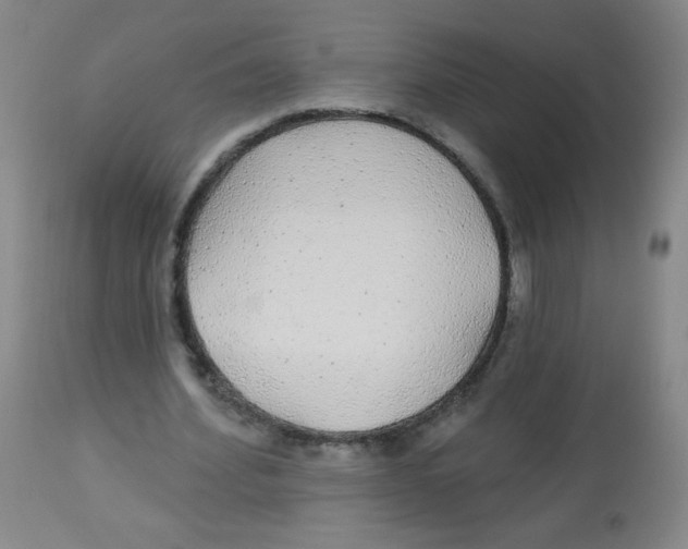 X0000113960580200910232030