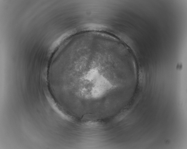 X0000113960581200910232030