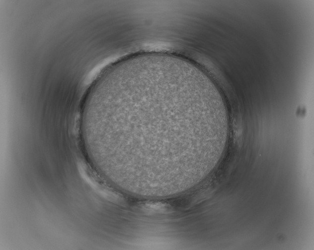 X0000113960583200910232030