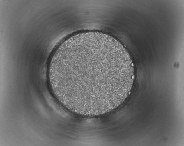 X0000113960584200910232030