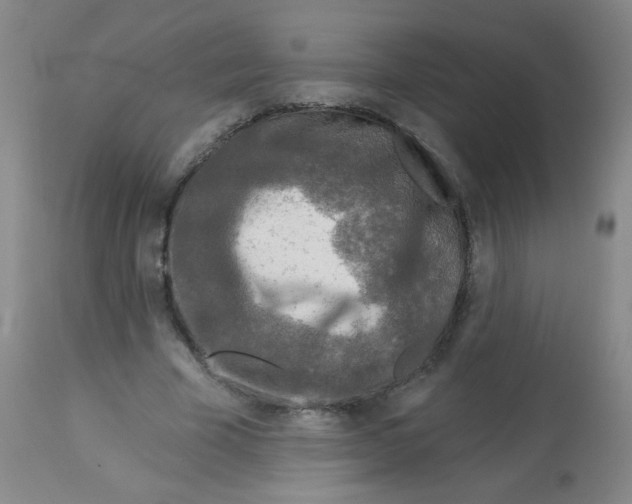 X0000113960585200910232030