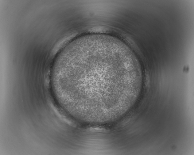 X0000113960586200910232030