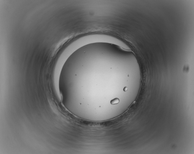 X0000113960587200910232030