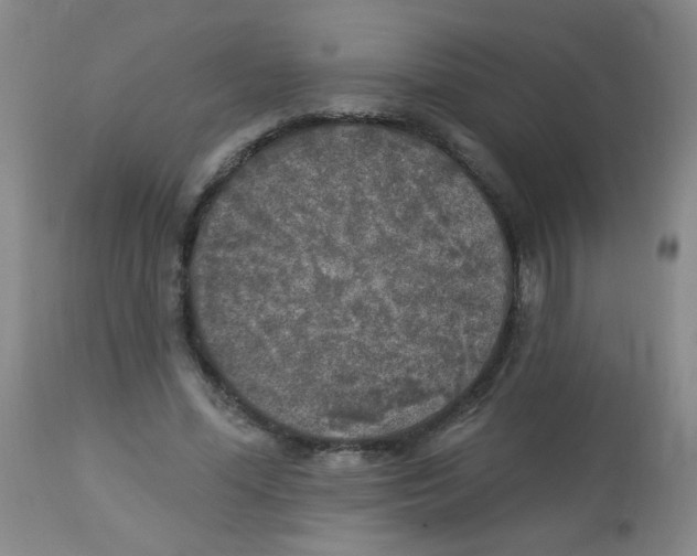 X0000113960588200910232030