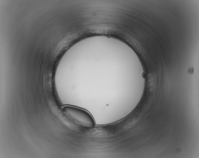 X0000113960589200910232030