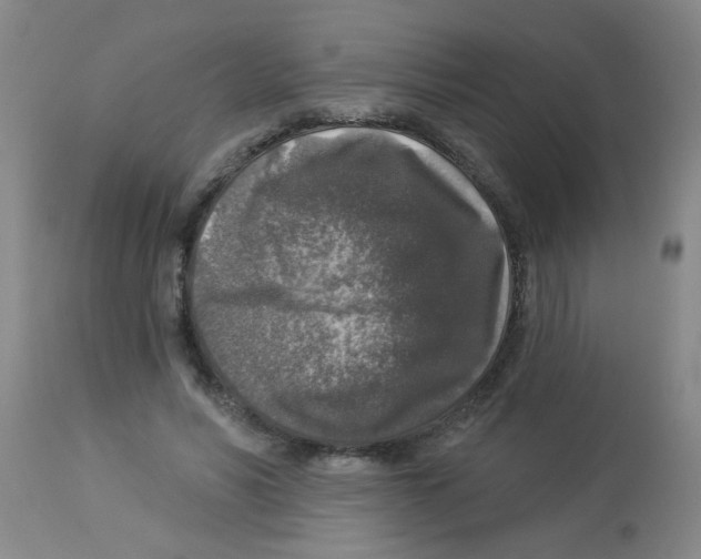 X0000113960590200910232030