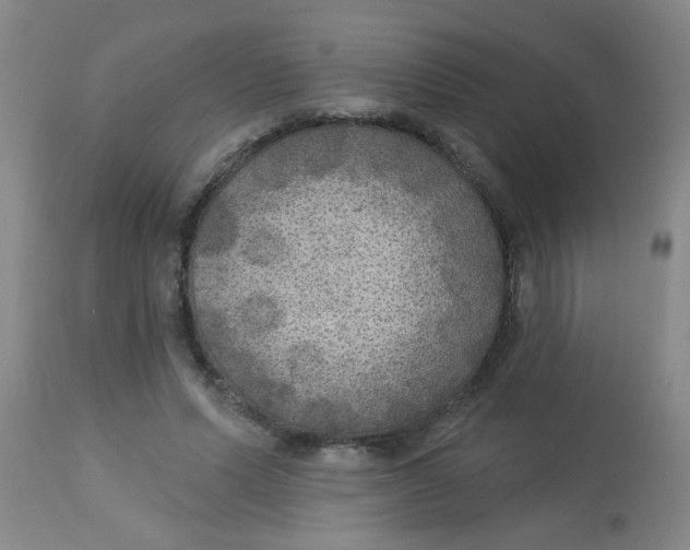 X0000113960591200910232030