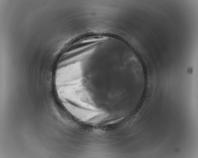 X0000113960592200910232030