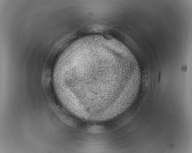 X0000113960593200910232030