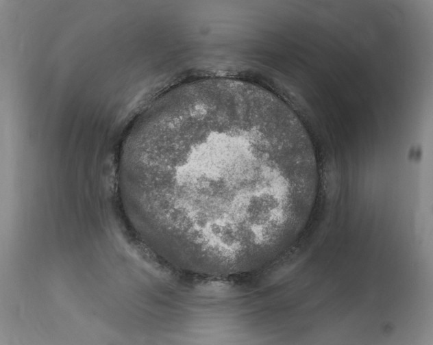 X0000113960594200910232030