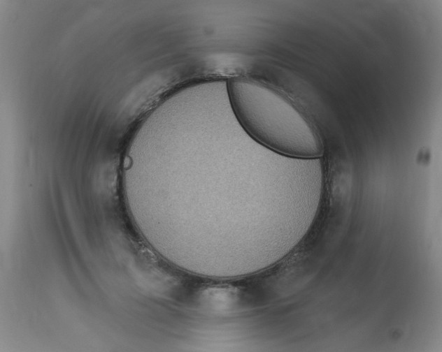 X0000113960595200910232030