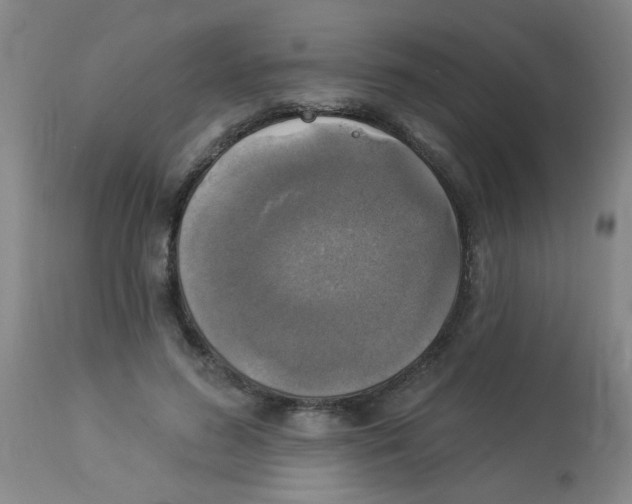 X0000113960596200910232030