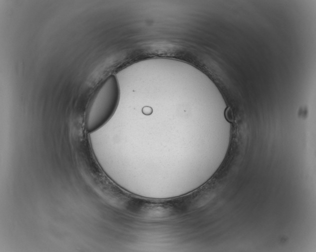 X0000113960597200910232030