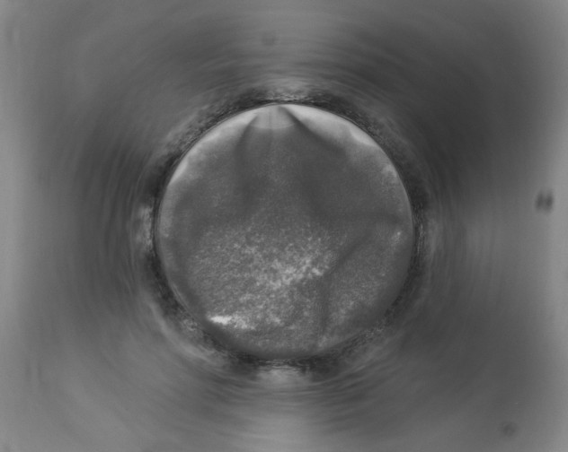 X0000113960598200910232030